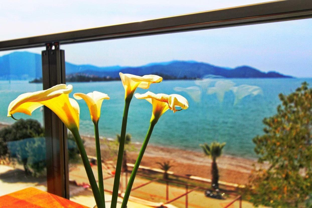 George'S Boutique Hotel Fethiye Exterior photo